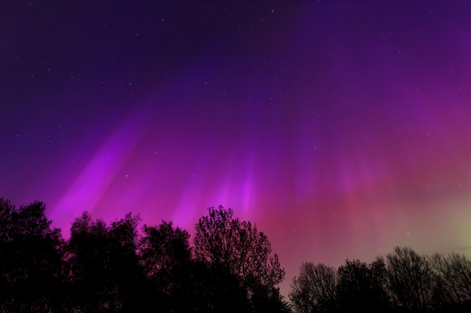 Purple and violet aurora over trees in Sweden